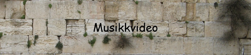 Musikkvideo